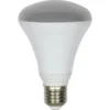 LED R80 60W Warm Light Bulb -NEBO Store 12807218 1004831967886702