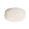 Cocoon Oyster 20cm Clipper Flush Ceiling Light - White -NEBO Store 12813812 9554831966380558