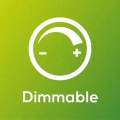 TCP Filament Globe Coat 40W BC Cool Dimmable Light Bulb 13 TCP Filament Globe Coat 40W BC Cool Dimmable Light Bulb -NEBO Store 12824596 1275022111812163