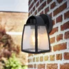 Lutec Kelsey Outdoor Wall Lantern - Black -NEBO Store 12840644 4454952691412503