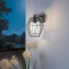 EGLO Canove Caged Exterior Wall Light -NEBO Store 12881609 1344952642848386