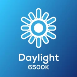 TCP Led Candle 40w Ses Daylight Bulb 5pk -NEBO Store 12891682 1634974963658551