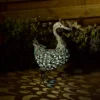 Solar Silhouette Duck - 43x12x27.5cm -NEBO Store 12912162 1925042096120703