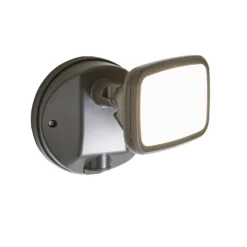 Lynn 1 Light Outdoor Wall Light (IP65) - Dark Grey -NEBO Store 13924377 7054980108048096