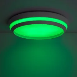 Lutec Cepa RGB LED Indoor Ceiling Light With Lutec Connect Technology - White - IP20 -NEBO Store 13950223 3864993071817926